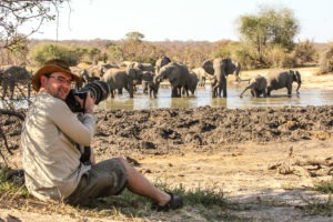Botswana photo safari capture wildlife