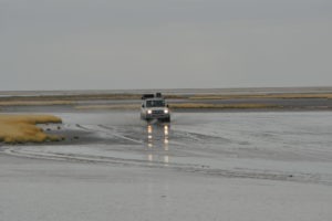 Botswana self drive safari over plains