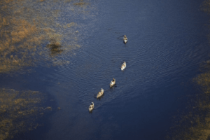 Botswana selinda spillway canoe safari aerial