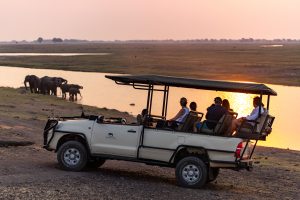 Chobe Elephant Camp Activities Botswana Safarifrank Authentic Safari Holiday27