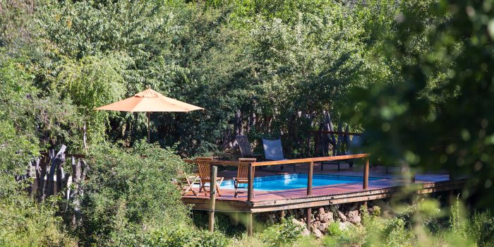 Chobe Elephant Camp Botswana Safarifrank Authentic Safari Holiday53
