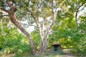 Ecotraining Tent wide angle