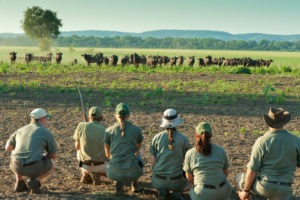 Ecotraining trails guide buffaloes