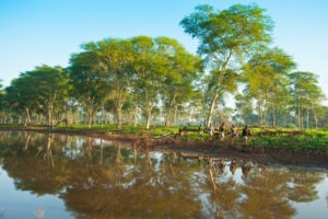 Ecotraining water walking