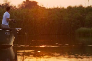 GuestFishingBacklit Kan 5462 Kanana Botswana