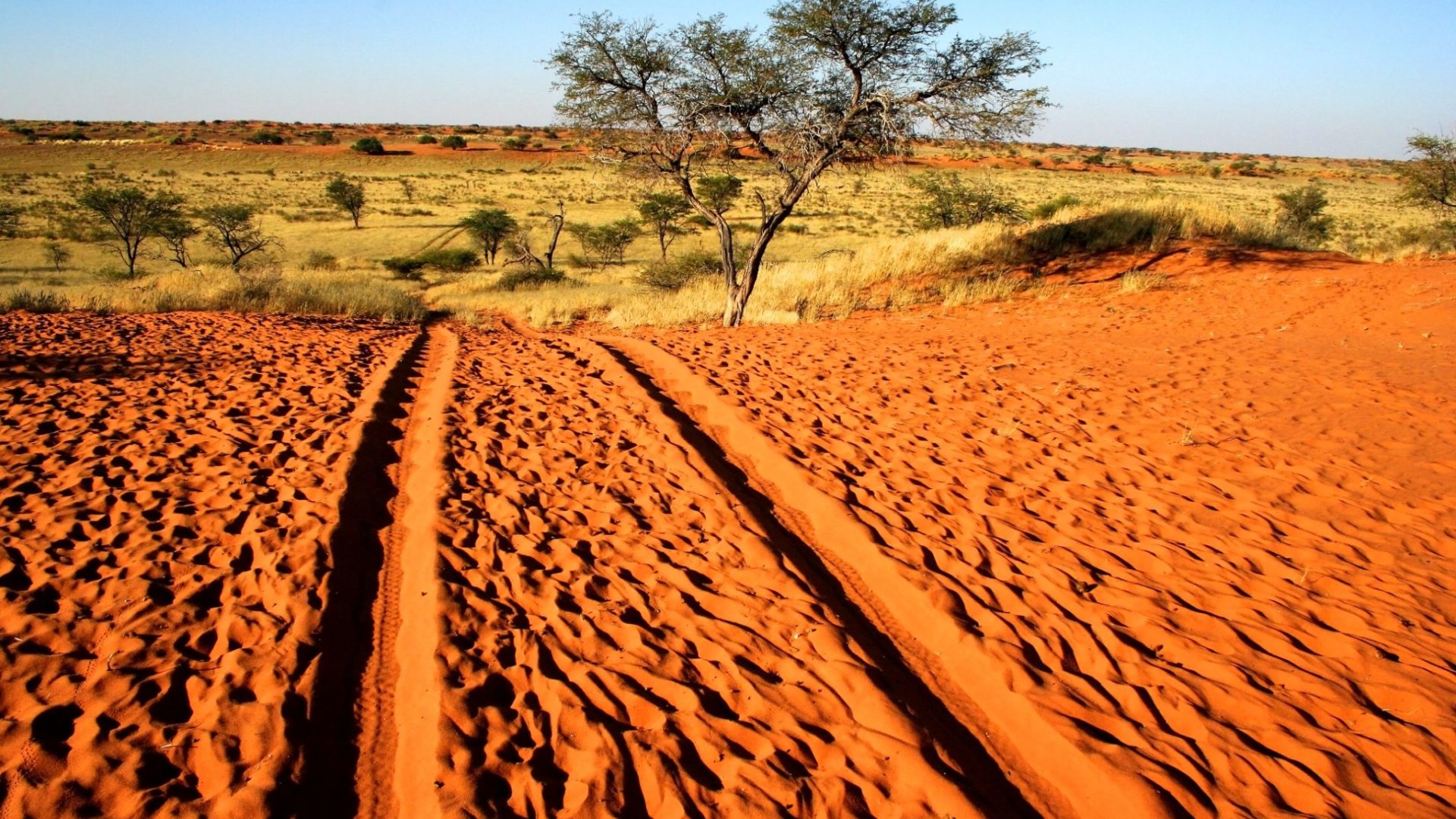 Kalahari Anib Lodge Dunes