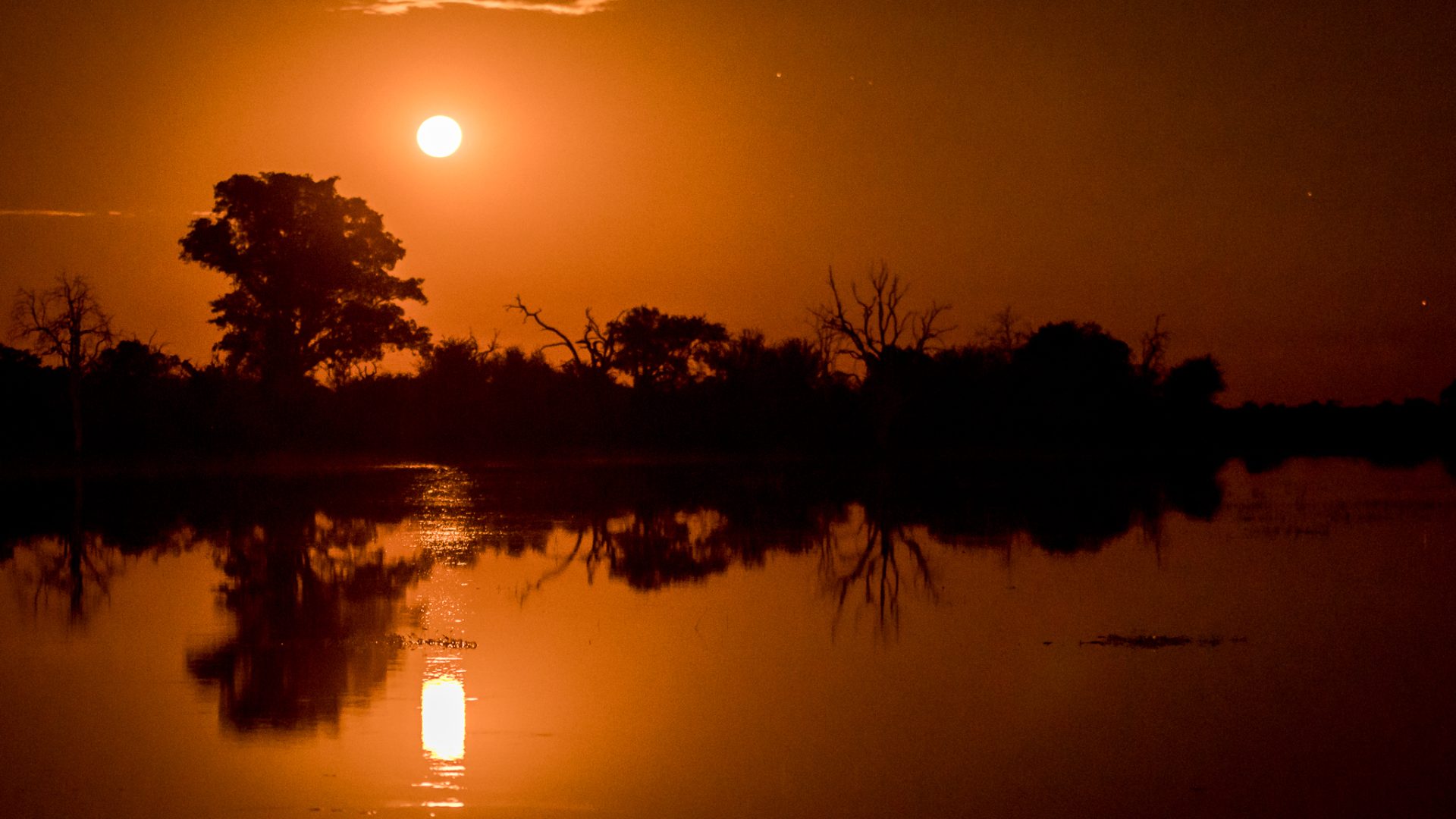 Nogatsaa Pans Chobe Lodge SafariFrank Botswana83