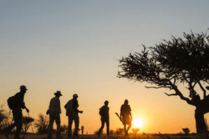 Tuli Botswana sunset walking safari