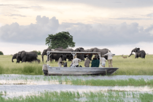 botswana boating safari photo chobe