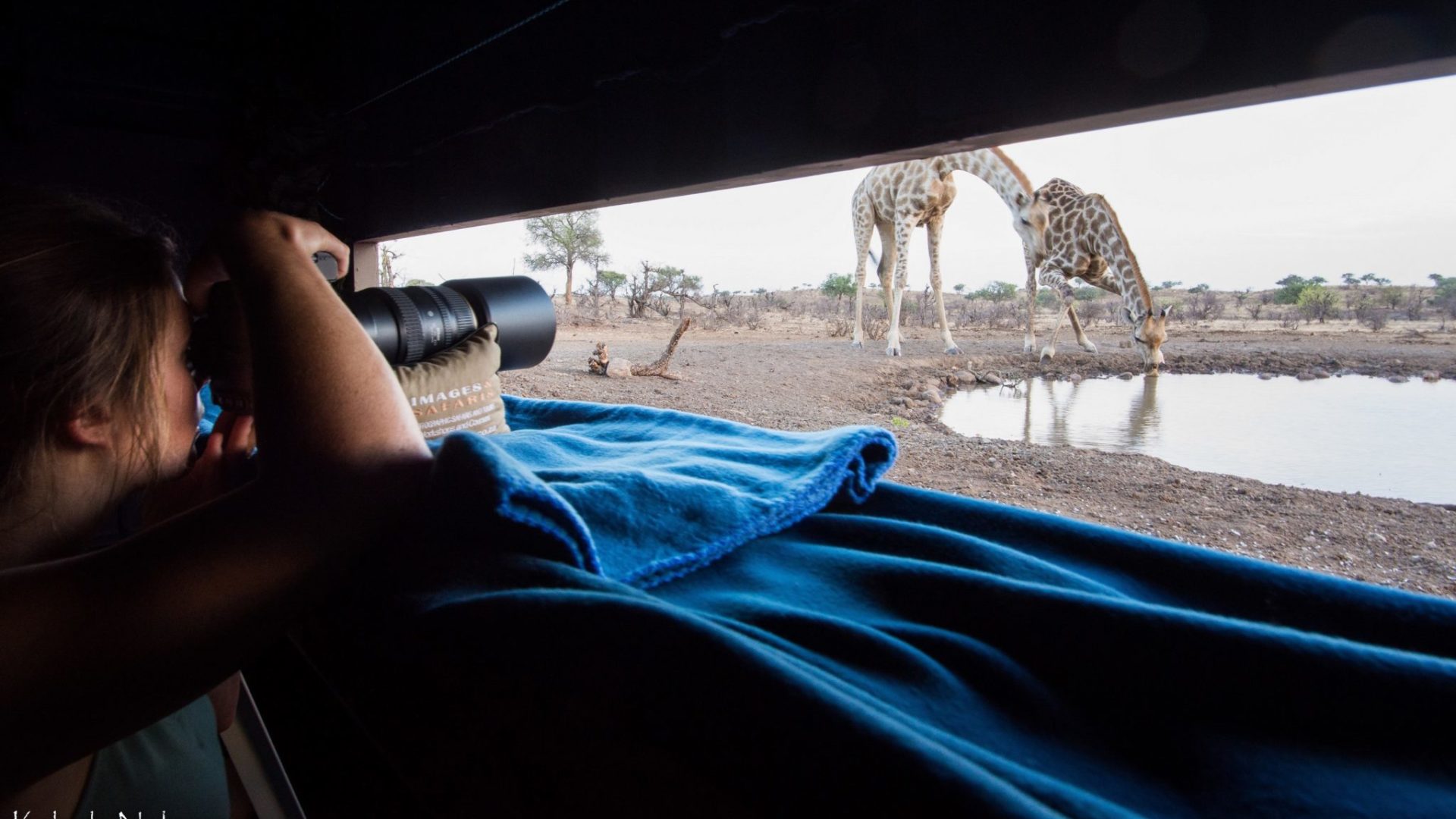 botswana mashatu photo giraffe from hide