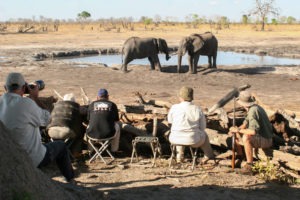botswana photo safari at dam with elephants