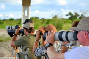 botswana photo safari boating chobe national park