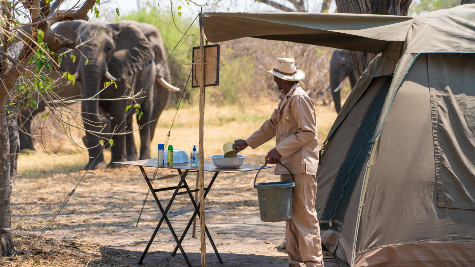 elephant tent khwai staff