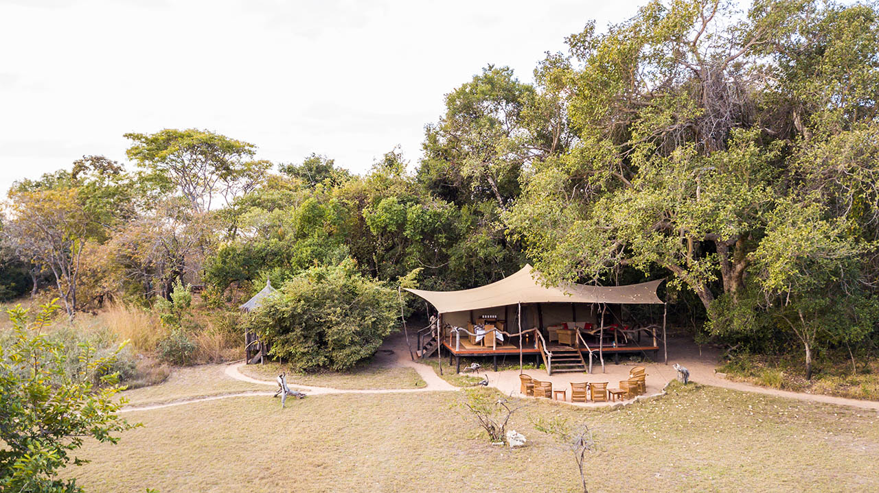 fig tree aerial camp