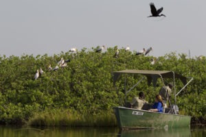 kanana heronry guests boating