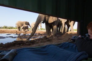 mashatu photo safari hide