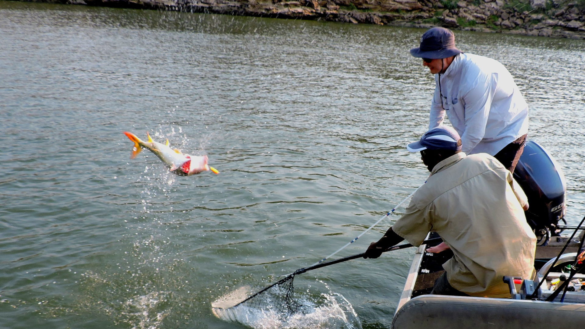 mutemwa lodge zambezi fishing