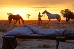 namibia horse riding bedroom