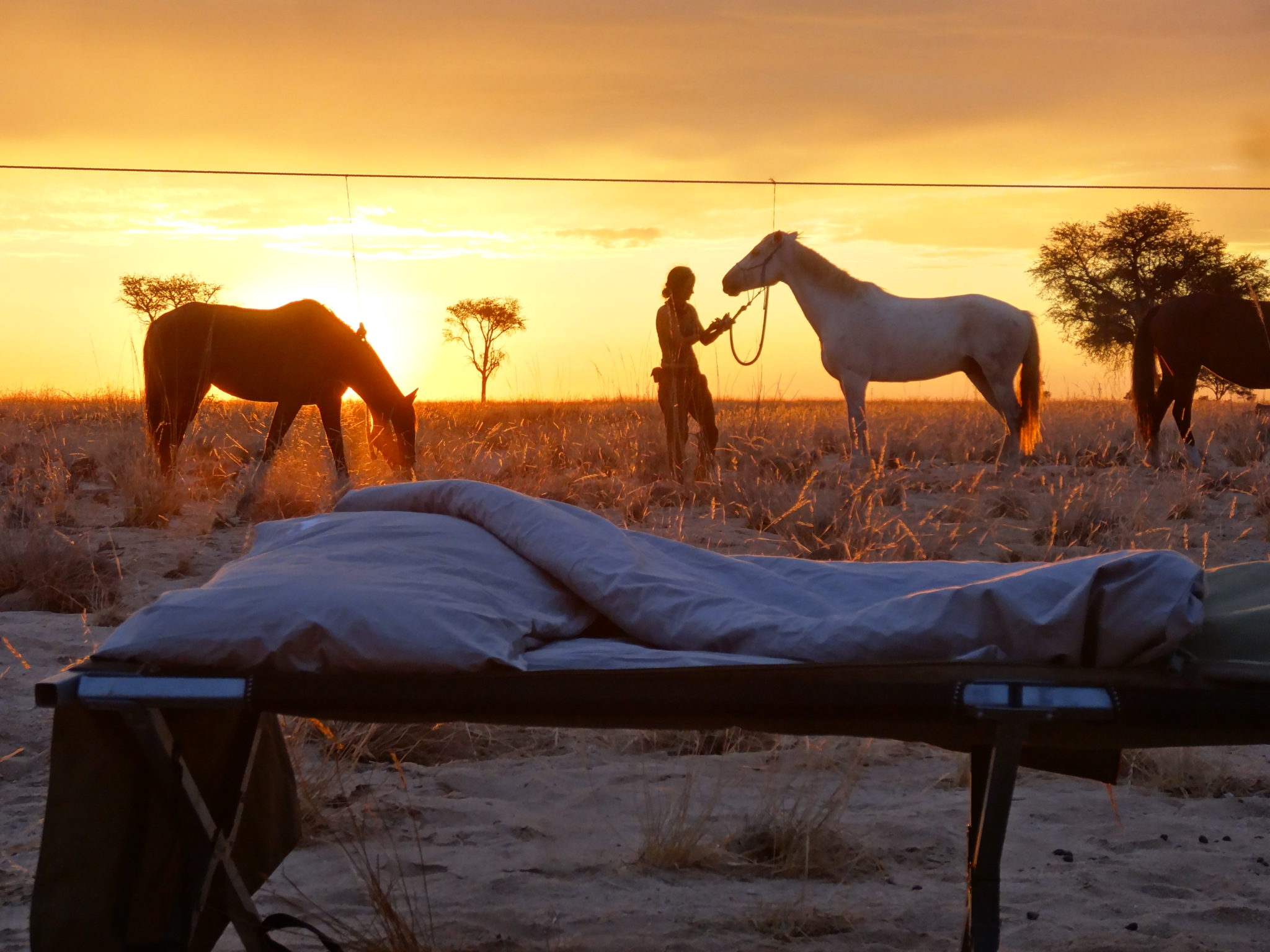 namibia horse riding bedroom