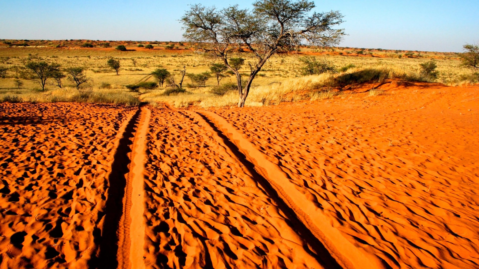 namibia kalahari landscape photography desert