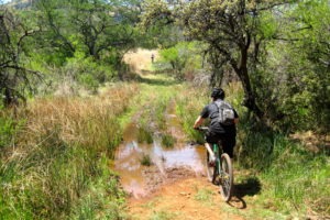 northern tuli botswana cycling safari off road