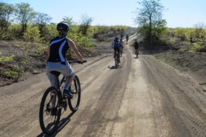 northern tuli botswana cycling safari riding along road