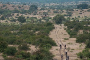 northern tuli botswana cycling safari riding through bush