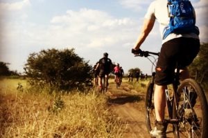northern tuli botswana cycling safari team riding along track