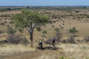 northern tuli botswana cycling safari view acorss landscape