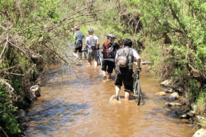 northern tuli botswana cycling safari walking through water