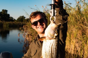 okavango delta botswana panhandle fish and frank