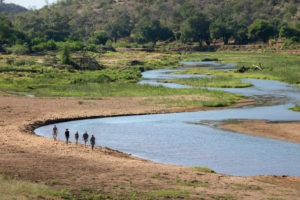 pafuri camp walking safari