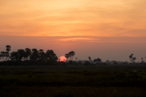 selinda spillway beautiful sunset
