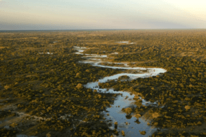 selinda spillway botswana river view