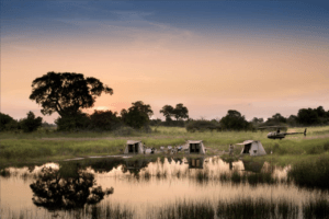 selinda spillway camp walking safari