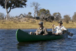 selinda spillway canoe safari elephant viewing