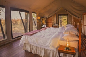 verneys camp hwange bedroom