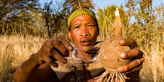 Botswana Bushmen Locals