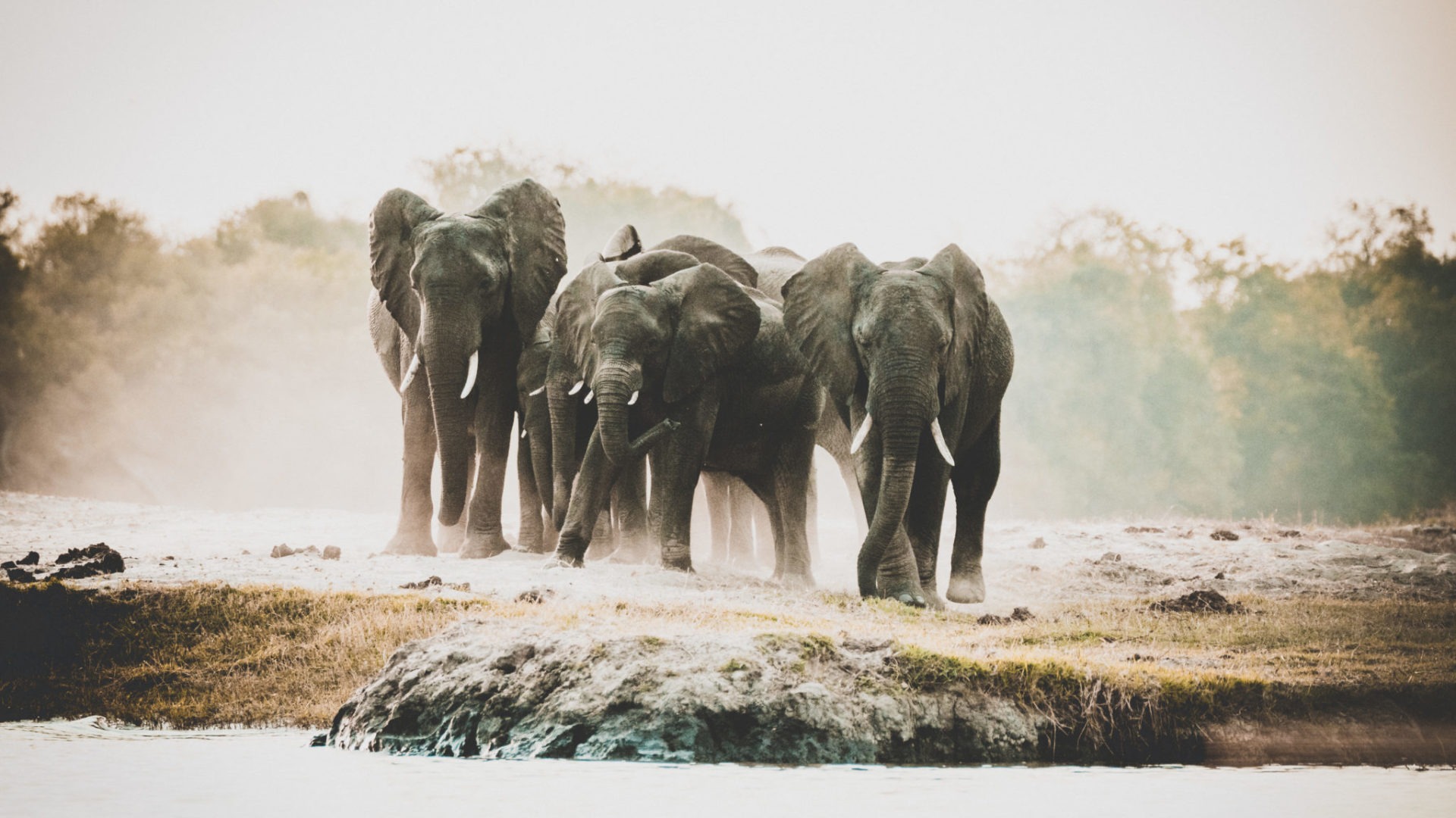 Chobe Nationalpark