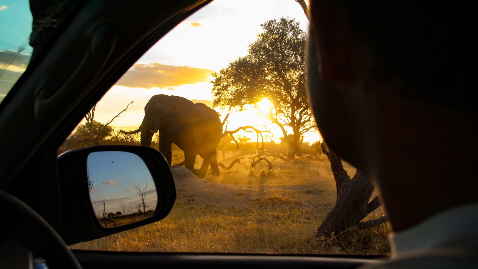 Northern Botswana Slef Drive Safari Elephant Sunset