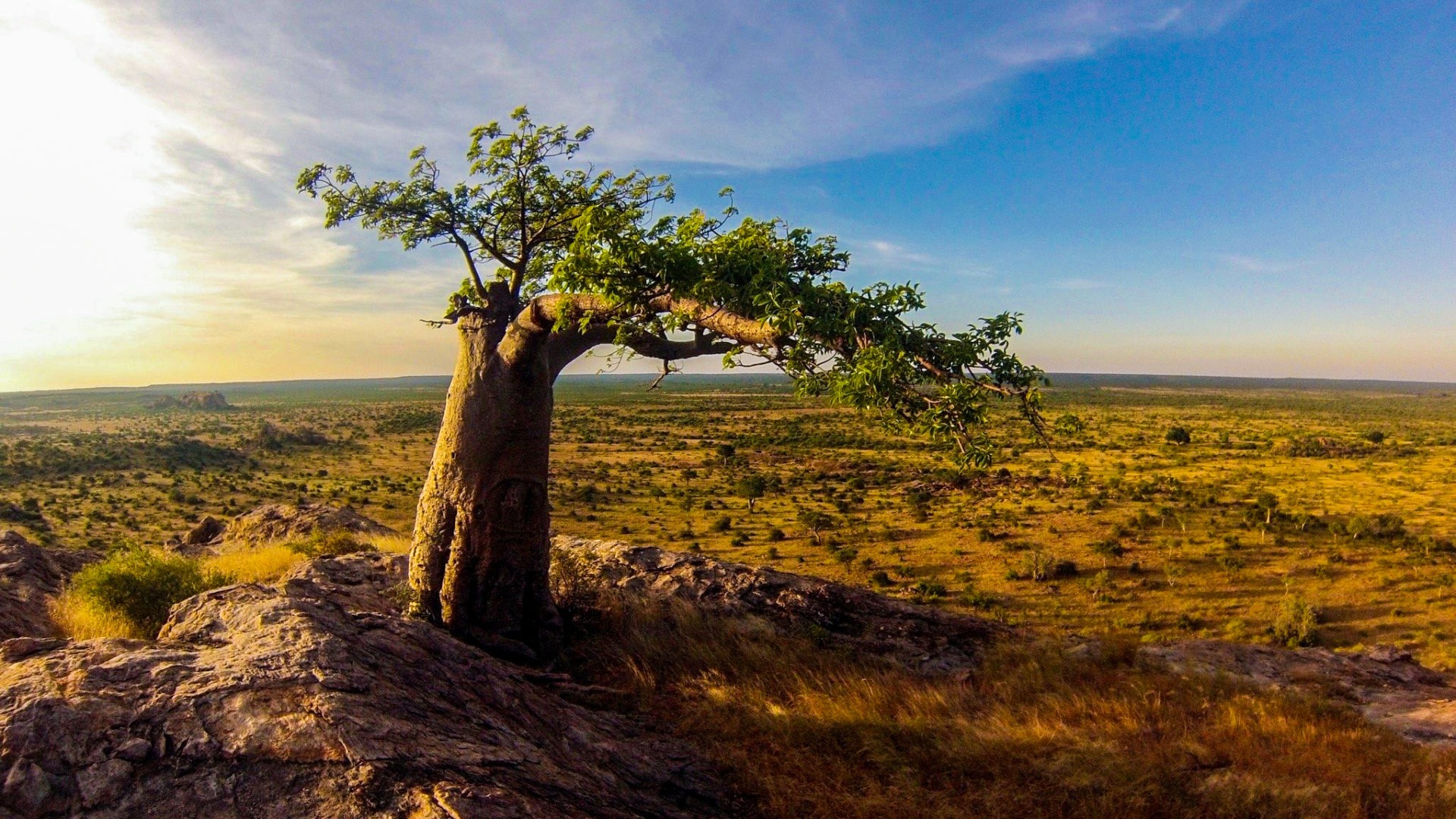 Northern Tuli Mashatu Botswana Views