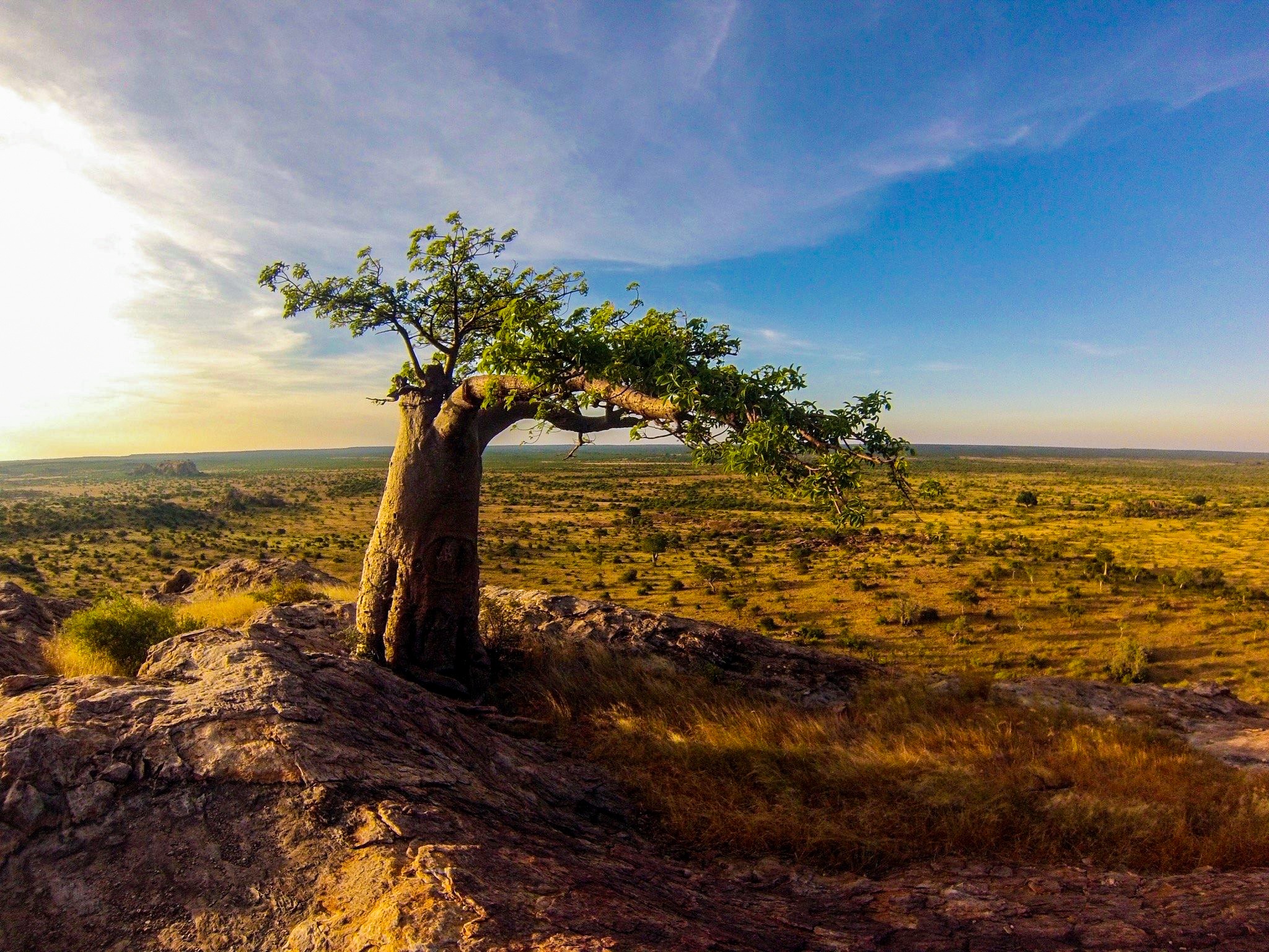 Northern Tuli Mashatu Botswana Views