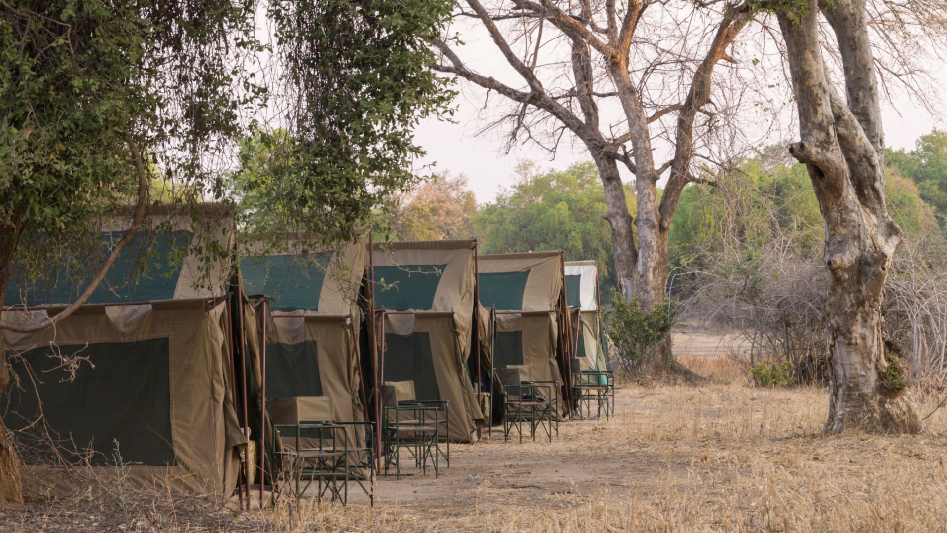 camp chitake mana pools tents