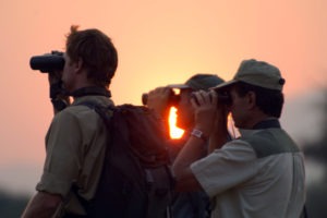 camp zambezi mana pools guests binos