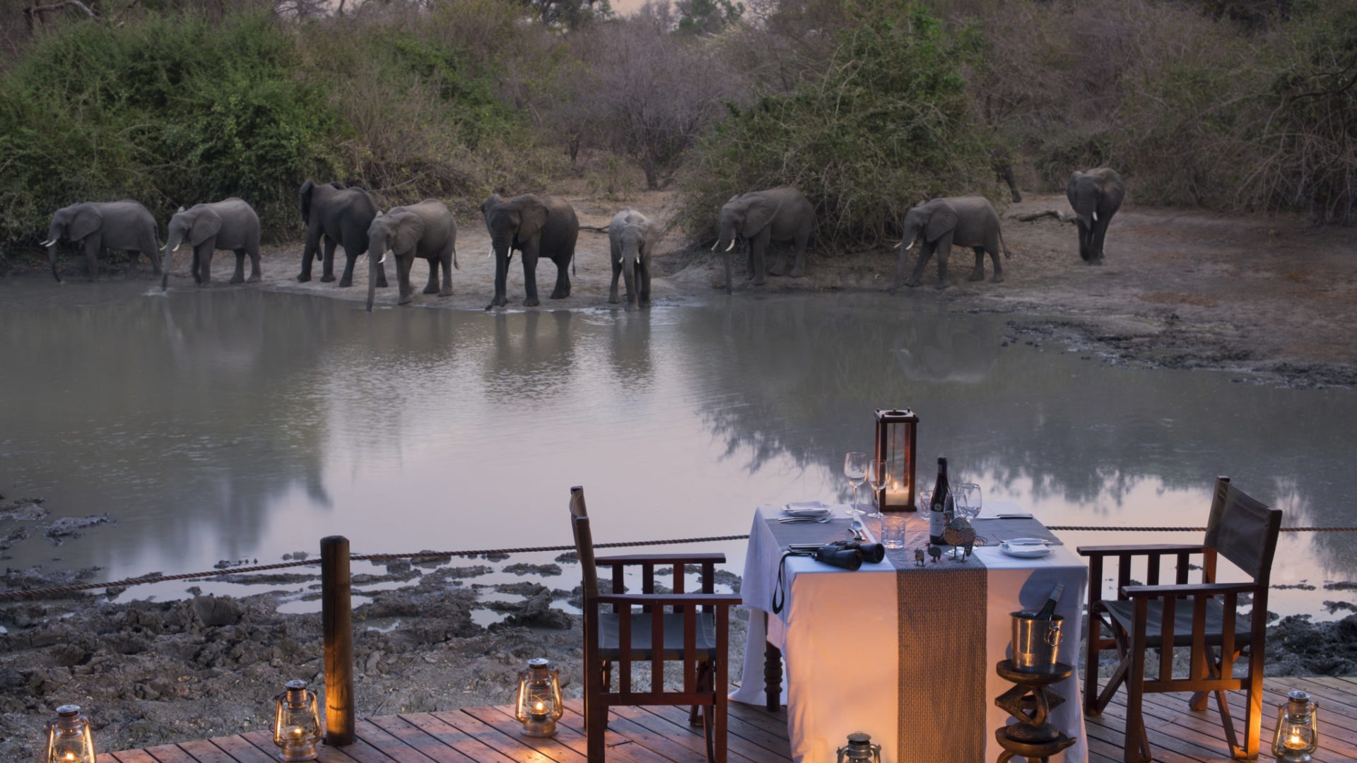 kanga camp mana pools elephants diner