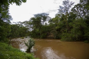 kenya ecotraining mara training camp guide training 19