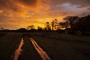 kenya ecotraining mara training camp guide training 29