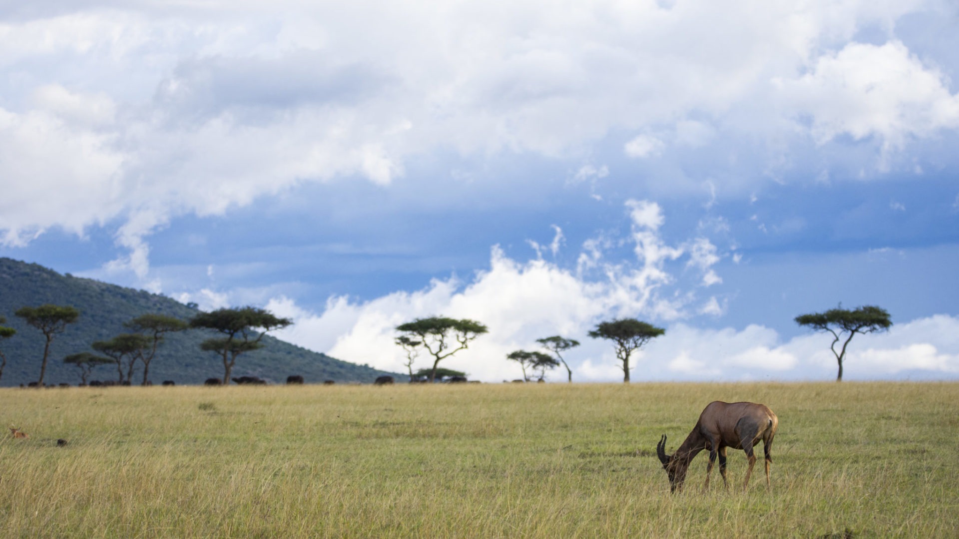 kenya ecotraining mara training camp guide training 37