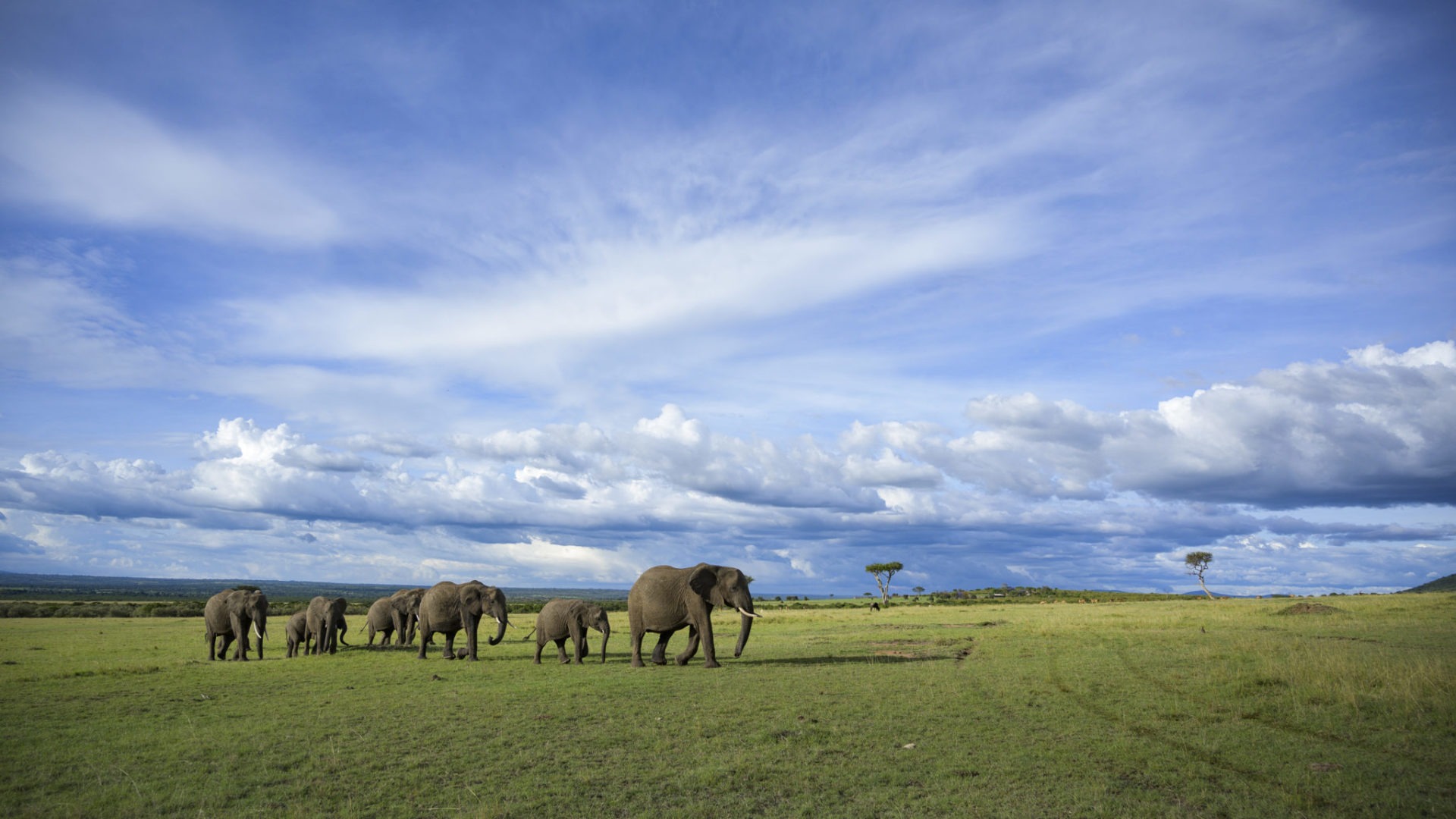 kenya ecotraining mara training camp guide training 44