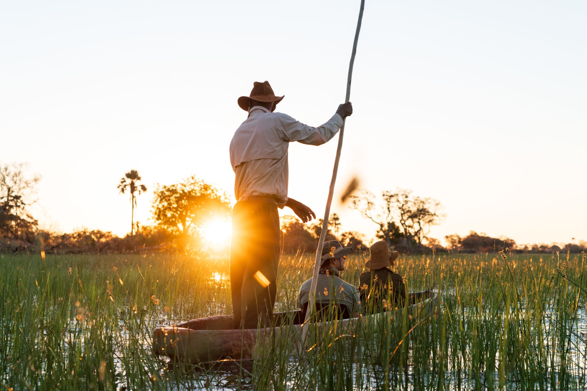 mokoro sunset okavango delta